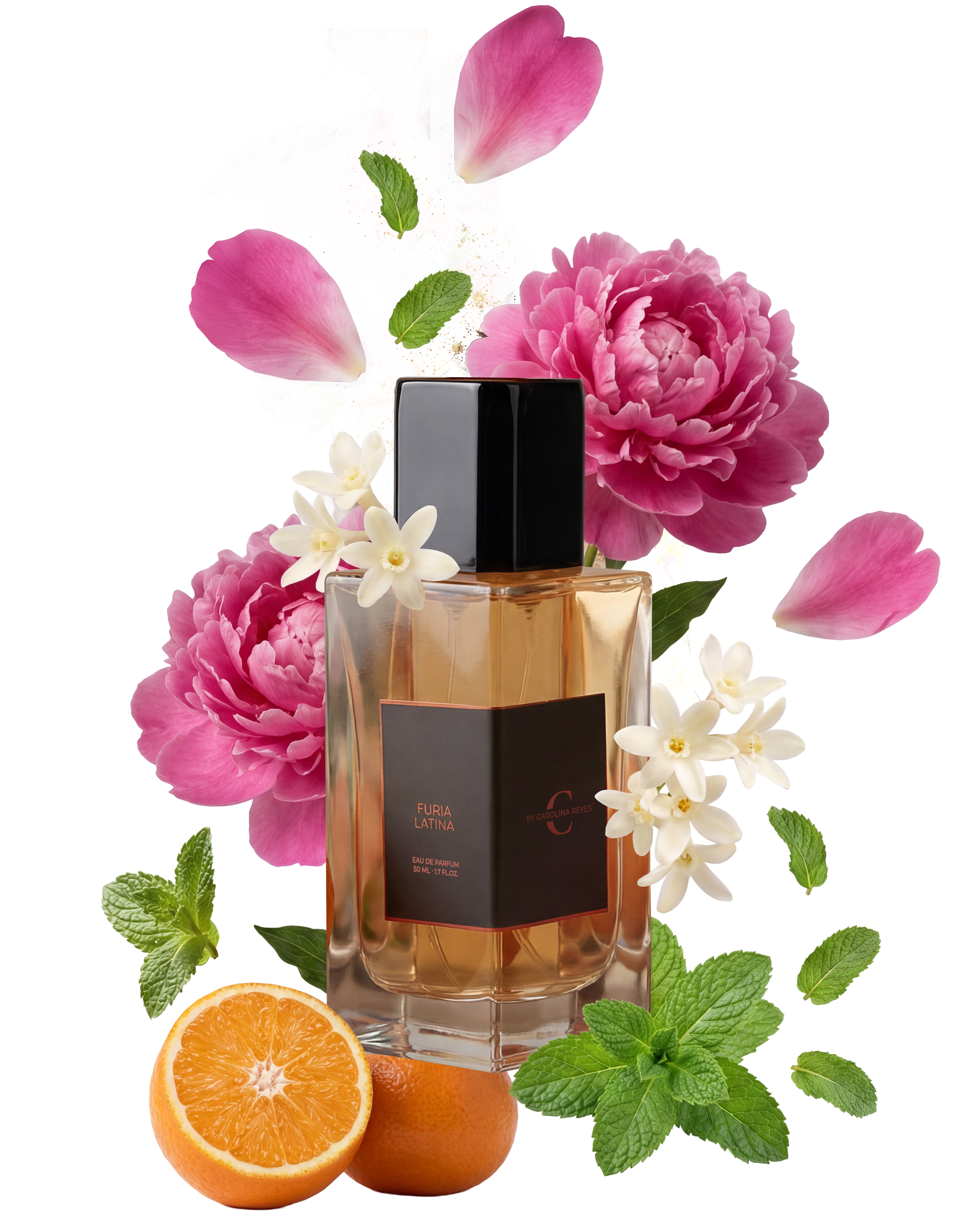 Piramide olfativa de Furia Latina